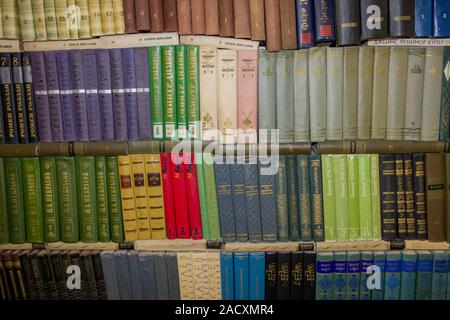 Libri sugli scaffali sono disposti tutti in fila. library Foto Stock