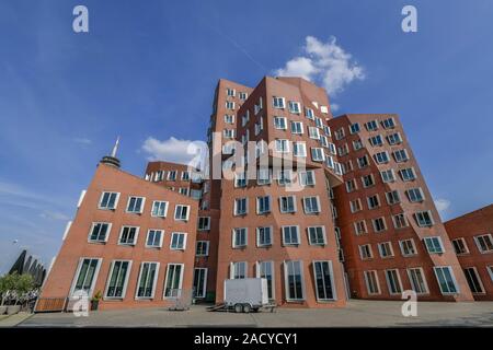 Neuer Zollhof, Gebäude des Architekten Gehry, Düsseldorf, Nordrhein-Westfalen, Deutschland Foto Stock
