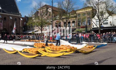 Alkmaar è una città dei Paesi Bassi, situata nella provincia dell'Olanda del Nord. Alkmaar è famosa per il suo tradizionale mercato del formaggio. Foto Stock