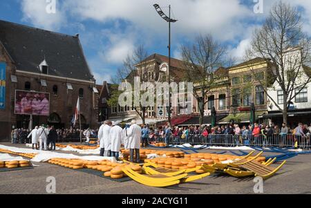 Alkmaar è una città dei Paesi Bassi, situata nella provincia dell'Olanda del Nord. Alkmaar è famosa per il suo tradizionale mercato del formaggio. Foto Stock