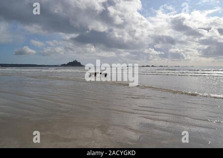 St Michaels mount con cani e gabbiani Foto Stock