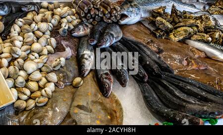 Vari frutti di mare e pesce su un contatore di pescivendoli Foto Stock