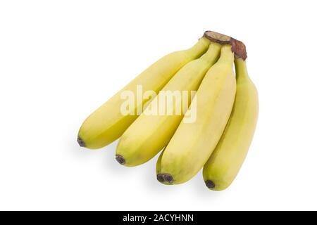 Piccole banane su sfondo bianco Foto Stock