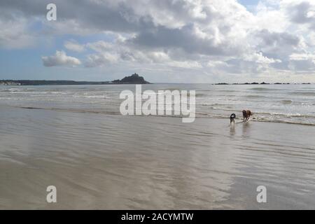 St Michaels mount con cani e gabbiani Foto Stock