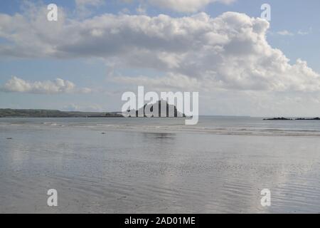 St Michaels mount con cani e gabbiani Foto Stock