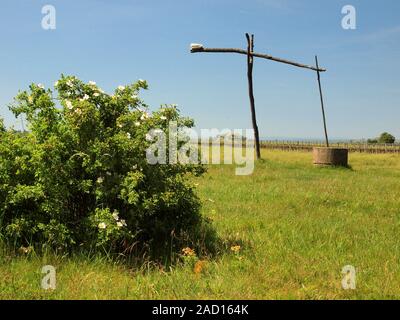 Disegnare bene (stile ungherese) vicino al lago di Neusiedl in Austria Foto Stock