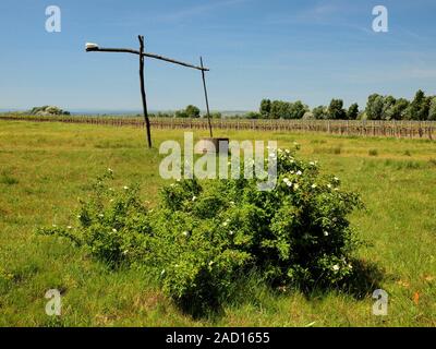 Disegnare bene (stile ungherese) vicino al lago di Neusiedl in Austria Foto Stock