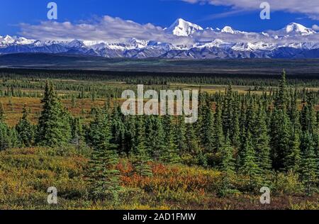 L'Alaska Range e tundra paesaggio in estate indiana / Parco Nazionale di Denali - Alaska Foto Stock