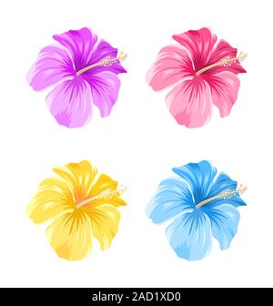 Set di coloratissimi fiori di ibisco Blossom isolato Foto Stock