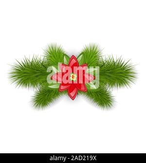 Composizione di natale con ramoscelli di abete e fiore poinsettia, isolato su sfondo bianco Foto Stock