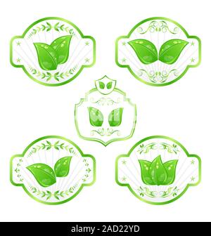 Set di verde le etichette ecologiche con foglie isolati su sfondo bianco Foto Stock