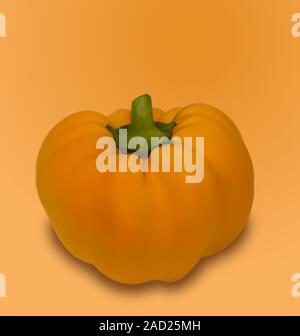 Acquerello disegnato a mano illustrazione vintage di zucca Foto Stock