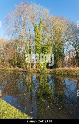 D'autunno bella scena sulla Worcester e Birmingham canal in Selly Oak, Birmingham, Regno Unito Foto Stock