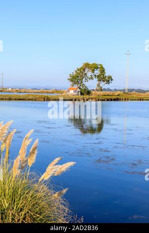 Aveiro, Portogallo. Alta Marea inondazioni automobili parcheggiate sulle rive della laguna! Aveiro, è salutato come il portoghese equivalente di Venezia Foto Stock