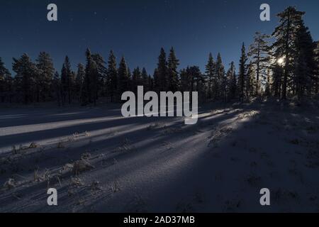 Moonlit paesaggio invernale, Muddus National Park, Lapponia, Svezia Foto Stock
