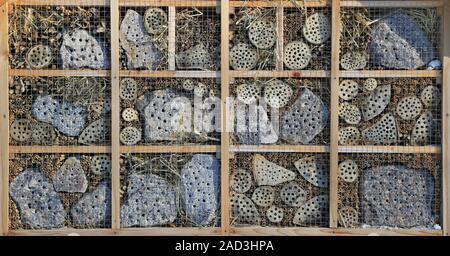 Hotel di insetto con diversi materiali da costruzione Foto Stock