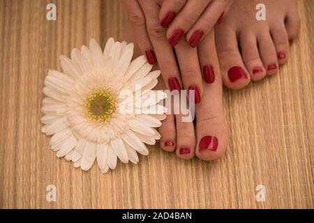 Femmina di mani e piedi a spa salone Foto Stock