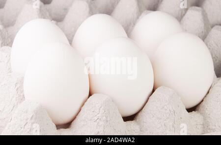 Sei uova di colore bianco sul vassoio Foto Stock