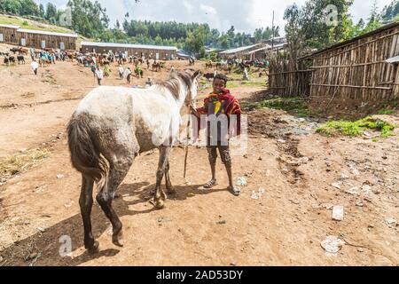 Etiopia. Amhara. Sbarcare. Settembre 21, 2019. Ragazzo holding cavallo al mercato di sbarcare. Foto Stock