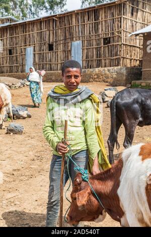 Etiopia. Amhara. Sbarcare. Settembre 21, 2019. Ragazzo con mucca al mercato di sbarcare. Foto Stock