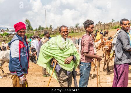 Etiopia. Amhara. Sbarcare. Settembre 21, 2019. Gli uomini con i bovini al mercato di sbarcare. Foto Stock