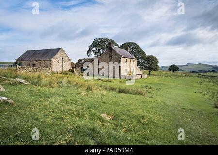 Casale in pietra e fienile edificio. Questo telecomando Hill Farm House on del The Pennine Way & Adriano percorso di parete a Alloa Lea in Northumberland National Park Foto Stock