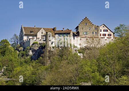 Castello Laufen alle Cascate del Reno, vicino Schaffhausen, Svizzera Foto Stock