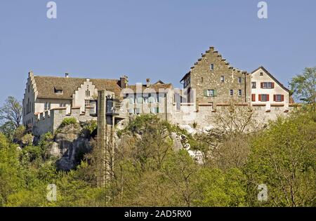 Castello Laufen alle Cascate del Reno, vicino Schaffhausen, Svizzera Foto Stock