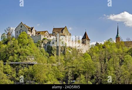 Castello Laufen alle Cascate del Reno, vicino Schaffhausen, Svizzera Foto Stock