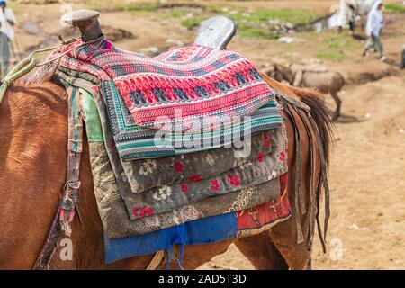 Etiopia. Amhara. Sbarcare. Cavallo con sella tradizionale al mercato di sbarcare. Foto Stock