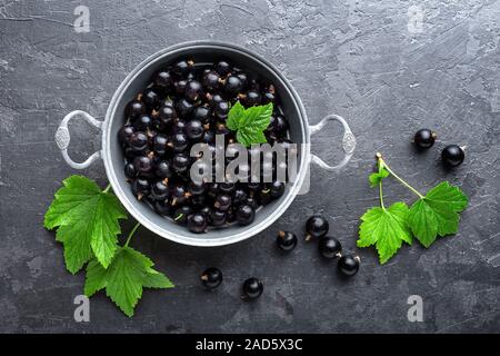 Bacche ribes nero con foglie, ribes nero Foto Stock