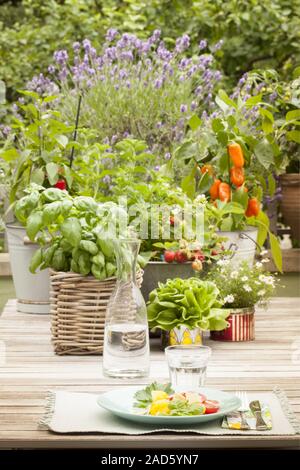 Balcone in estate - luogo impostazione con insalata di pomodoro UK + irlandese solo diritti. Foto Stock