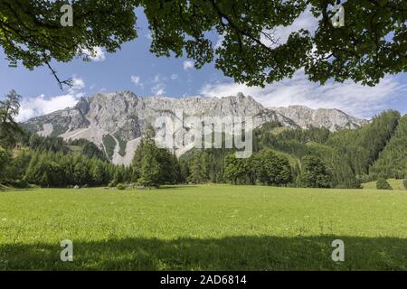 Vista parziale del sud del massiccio Dachstein, Stiria, Austria Foto Stock