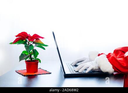 Babbo Natale utilizzando laptop su sfondo bianco con red poinsettia. Vestito in guanti bianchi mani di Santa la digitazione sul computer. Foto Stock