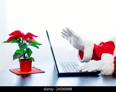 Babbo Natale utilizzando laptop su sfondo bianco con red poinsettia. Vestito in guanti bianchi mani di Santa la digitazione sul computer. Foto Stock