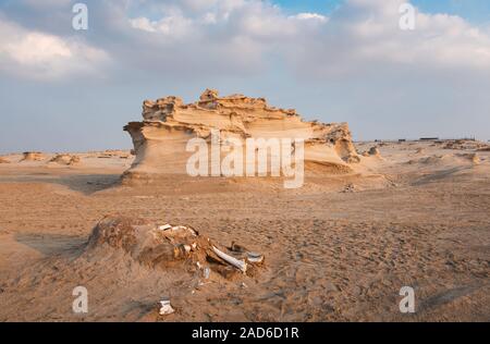 Le dune fossili di paesaggio di formazioni di vento-spazzata di sabbia in Abu Dhabi Emirati Arabi Uniti Foto Stock