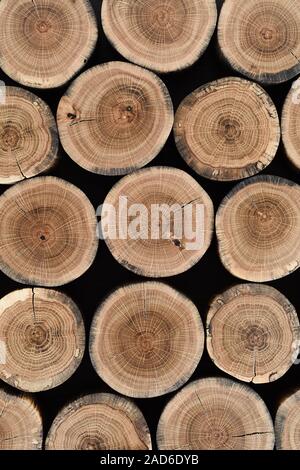 Lastre di legno con anelli annuali e crepe su sfondo nero texture vista sopra Foto Stock