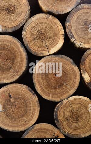 Tronco di albero fette con anelli annuali e crepe su sfondo nero texture vista aerea Foto Stock