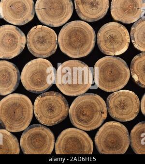 Lastre di legno con anelli annuali e crepe su sfondo nero texture vista superiore Foto Stock