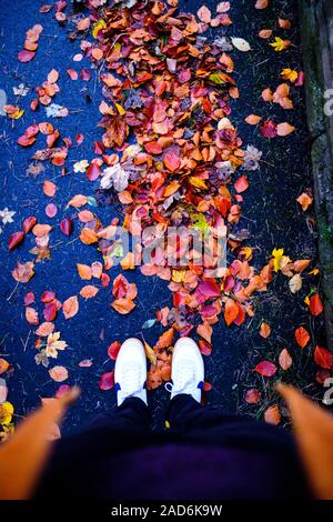 Gambe di maschio si trovava in foglie d'autunno, Durham, Regno Unito Foto Stock