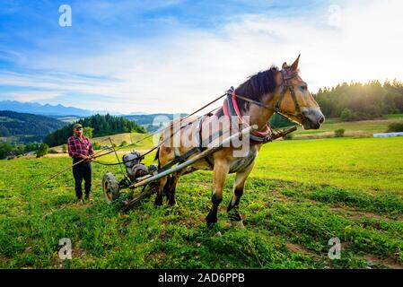 Sromowce Wyzne, Polonia - - agosto 27/2015; il contadino coltiva il terreno con un cavallo in una zona montagnosa Foto Stock