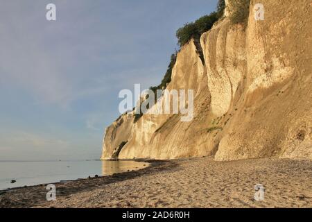 Moens Klint, alta roccia calcarea presso la costa orientale della Danimarca. Foto Stock