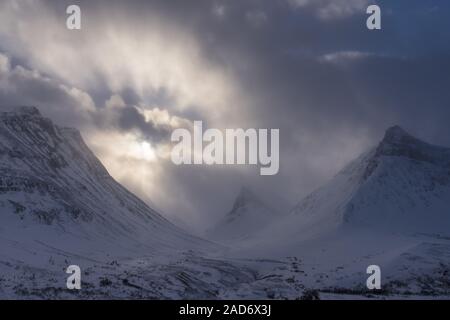 Paesaggio in Snow Drift, Stuor Reaiddavaggi, Lapponia, Svezia Foto Stock