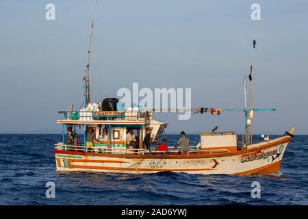 Il governo dello Sri Lanka pescatori tirare la loro rete sopra il lato del loro giro in barca in mare aperto. Foto Stock