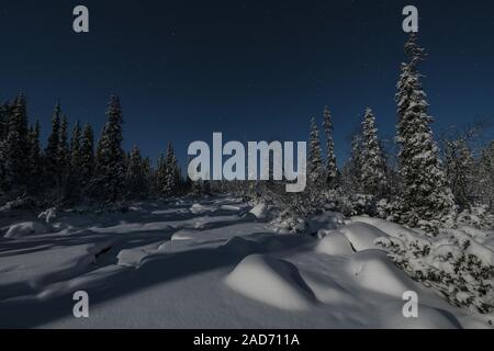 Moonlit paesaggio invernale, Muddus National Park, patrimonio mondiale Laponia, Lapponia, Svezia Foto Stock