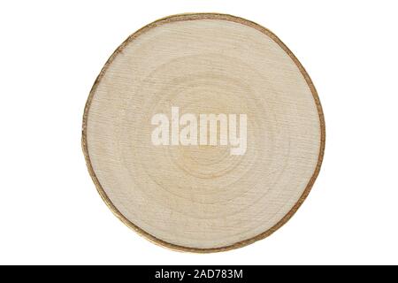 Legno di betulla, sezione trasversale su sfondo bianco Foto Stock