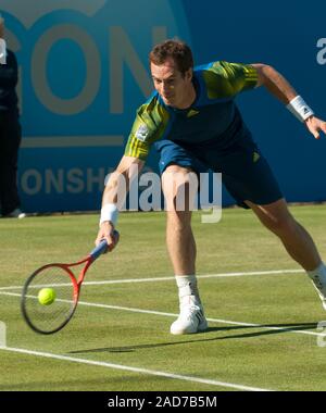 British giocatore di tennis Andrew Murray sulla corte al Queens Tennis club in Aegon uomini singoli campionato. Foto Stock