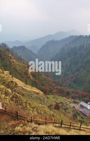 Splendida vista da Isharu, posto vicino a Pokhara, Nepal. Fioritura di rododendro foresta. Foto Stock