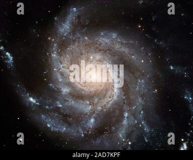 Questo gigantesco disco a spirale di stelle, polvere e gas è 170.000 anni-luce tutta, o quasi due volte il diametro della nostra Via Lattea. M101 è stimato a contenere almeno un trilione di stelle. Circa 100 miliardi di essi potrebbe essere simile al nostro sole. Credito per immagine di Hubble: la NASA, ESA, K. Kuntz (JHU), F. Bresolin (Università delle Hawaii), J. Trauger (Jet Propulsion Lab), J. stampo (NOAO), Y.-H. Chu (Università di Illinois, Urbana), e STScICredit per CFHT Immagine: Canada-France-Hawaii Telescope/ J.-C. Cuillandre/CoelumCredit per NOAO Immagine: G. Jacoby, B. Bohannan, M. Hanna/ NOAO/AURA/NSF Foto Stock