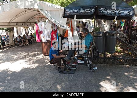 Il pulitore del pattino nella Plaza Grande parco in Merida, Messico Foto Stock